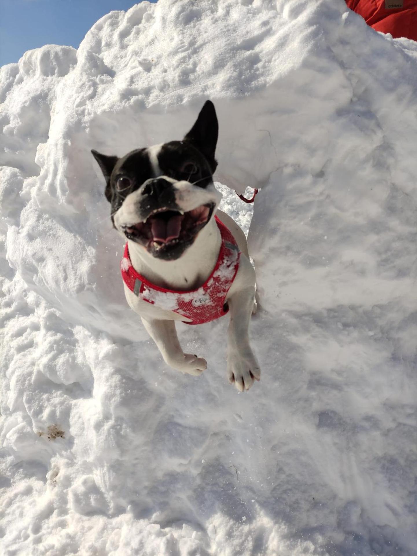 Naturnah in Hellenthal