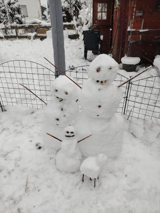 Naturnah in Hellenthal