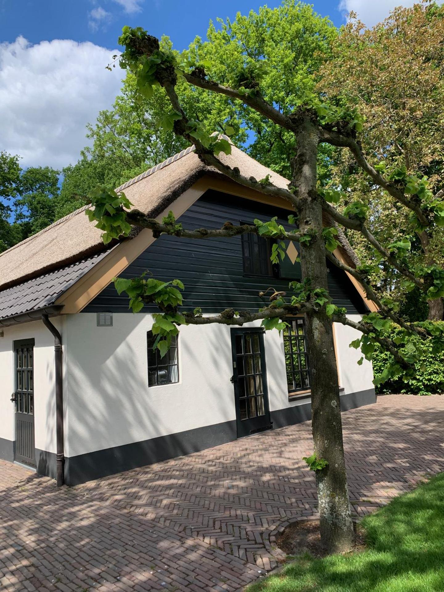 Lindenhof & Guesthouse