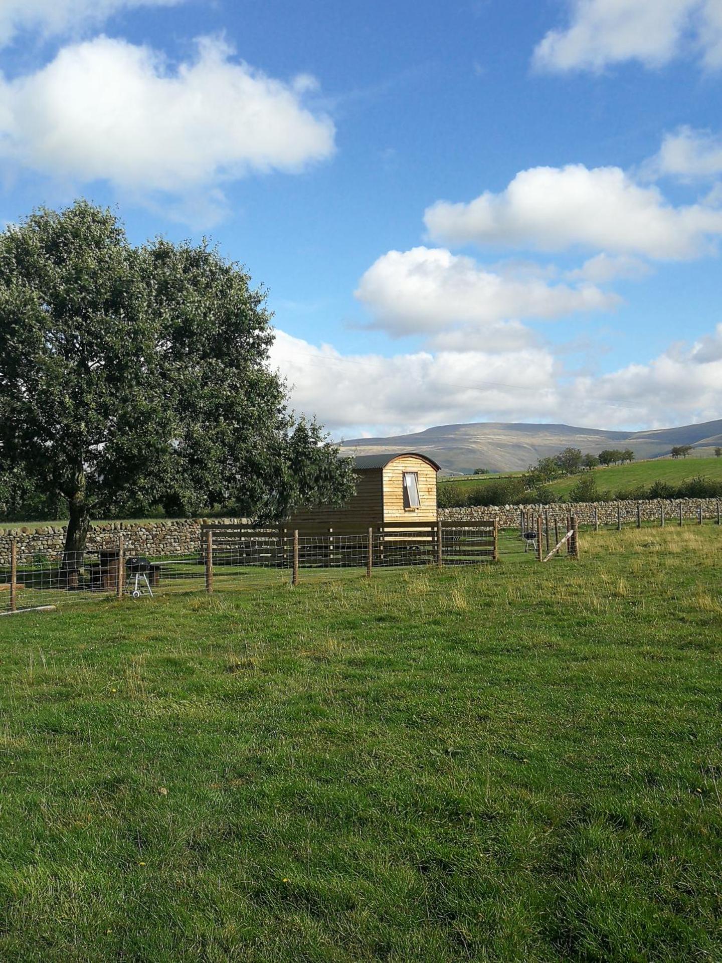 Sunny Mount Shepherd's Hut