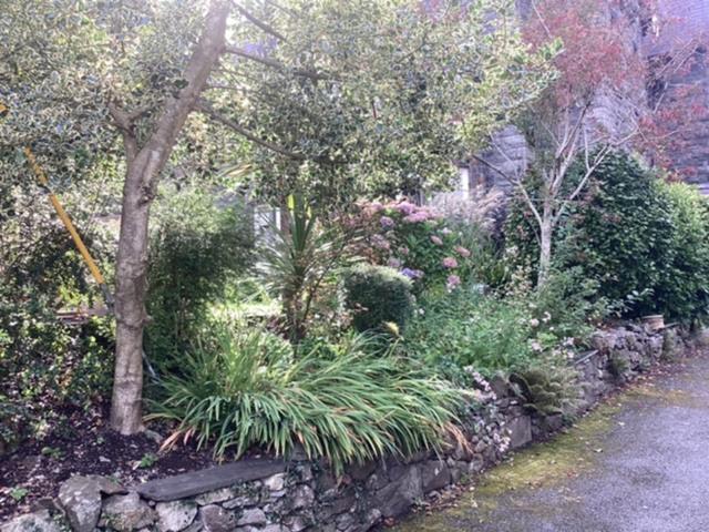 Brynffynnon Boutique Bed and Breakfast