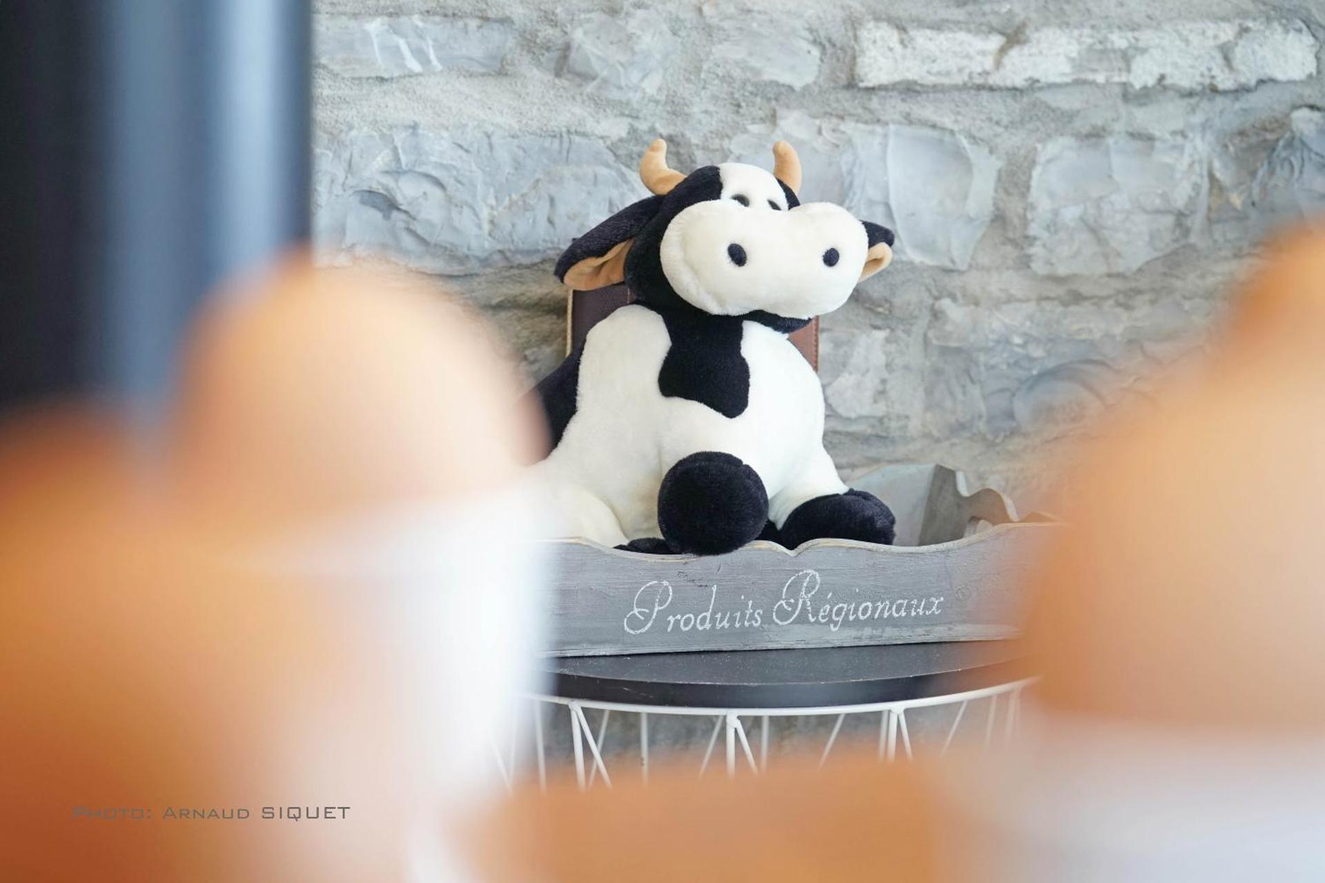 Gîte familial ferme des aujes falaen