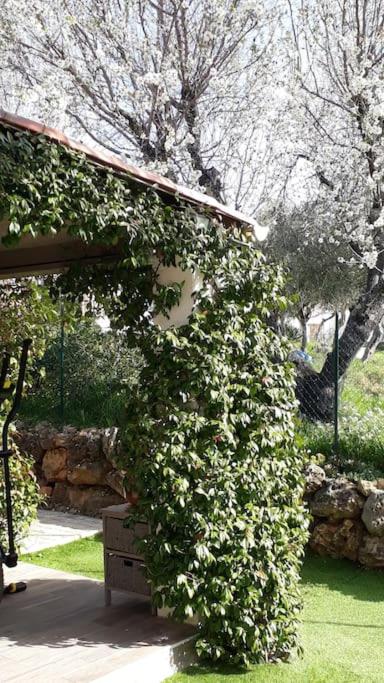 maison 2 ou 4 personnes jardin parking LES AMANDIERS