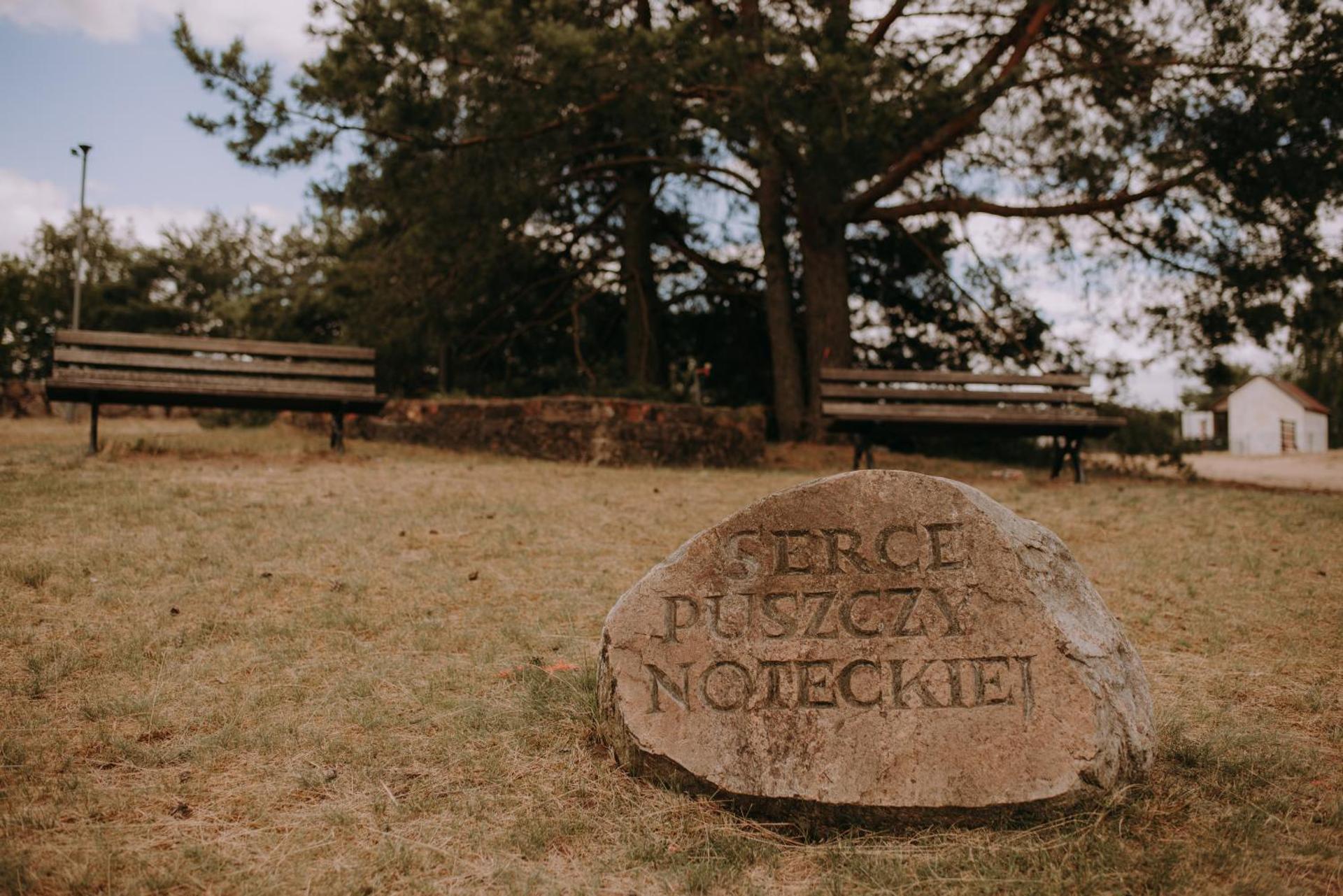 Biała Dom z widokiem