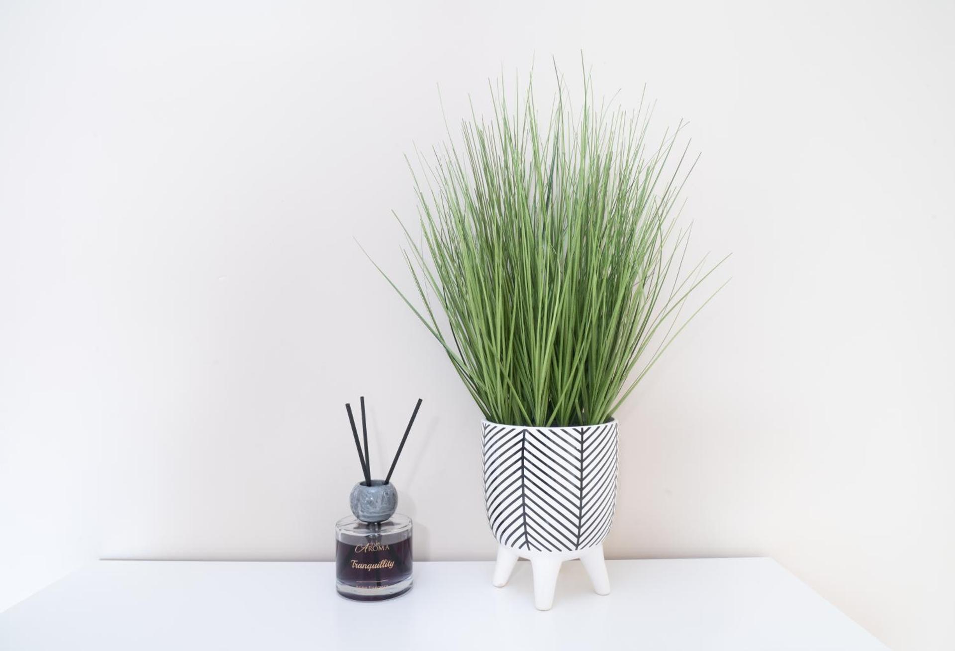 Luxury 2-bedroom 2-bathroom city centre apartment