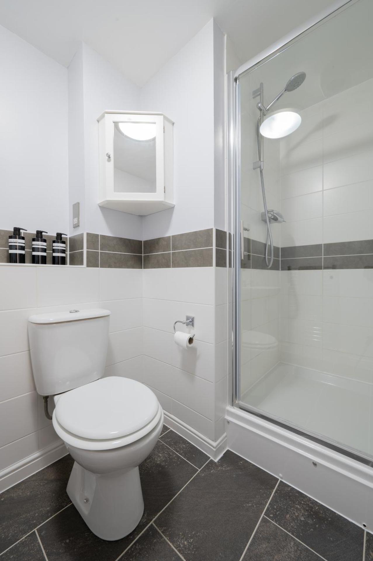 Luxury 2-bedroom 2-bathroom city centre apartment