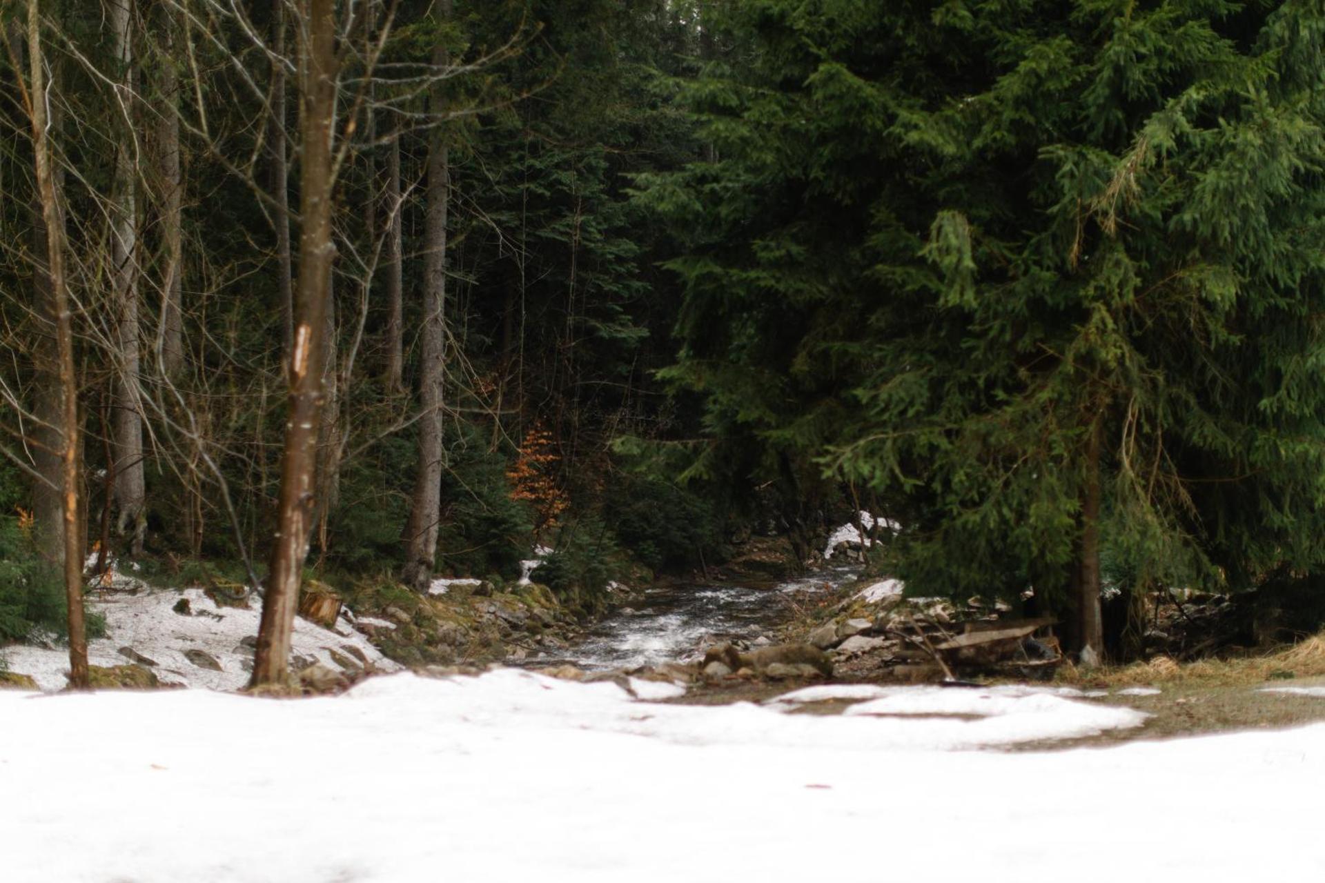 90 m2 horský apartmán v centru Harrachova