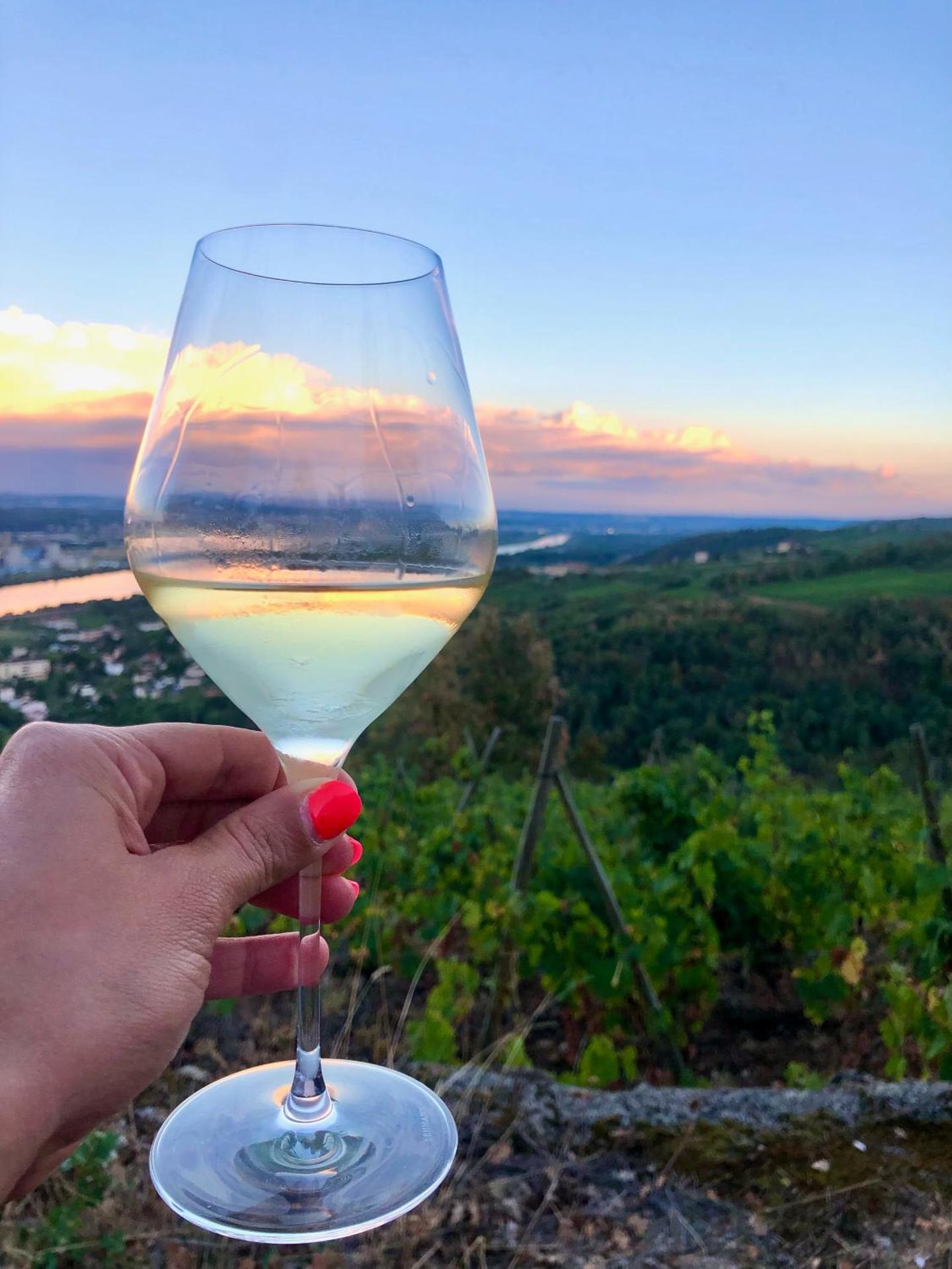 Chambre spacieuse Le clos des vignes