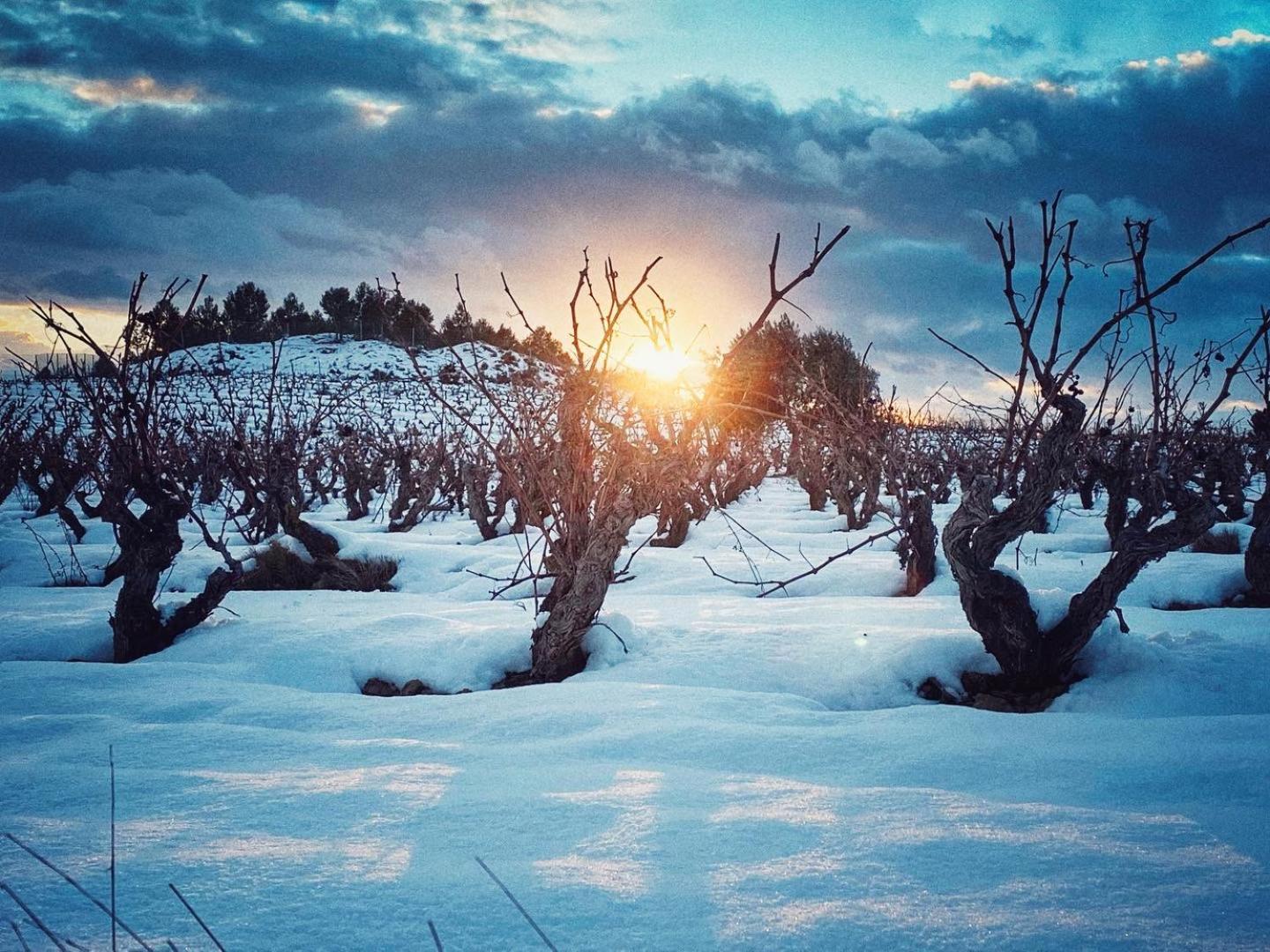 Apartamento "Kanogal"