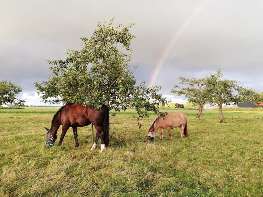 't Winkeltje - Vakantiehuisje op boerderij Huize Blokland