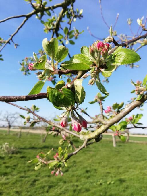 't Pekelhuis - Vakantiehuisje op boerderij Huize Blokland