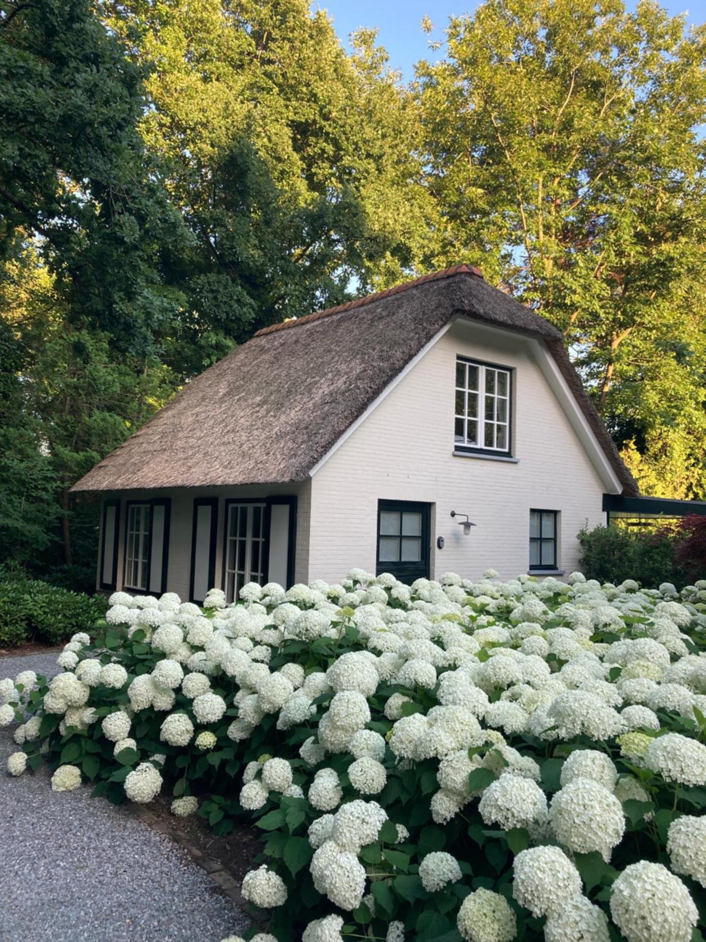 Schilde Cottage
