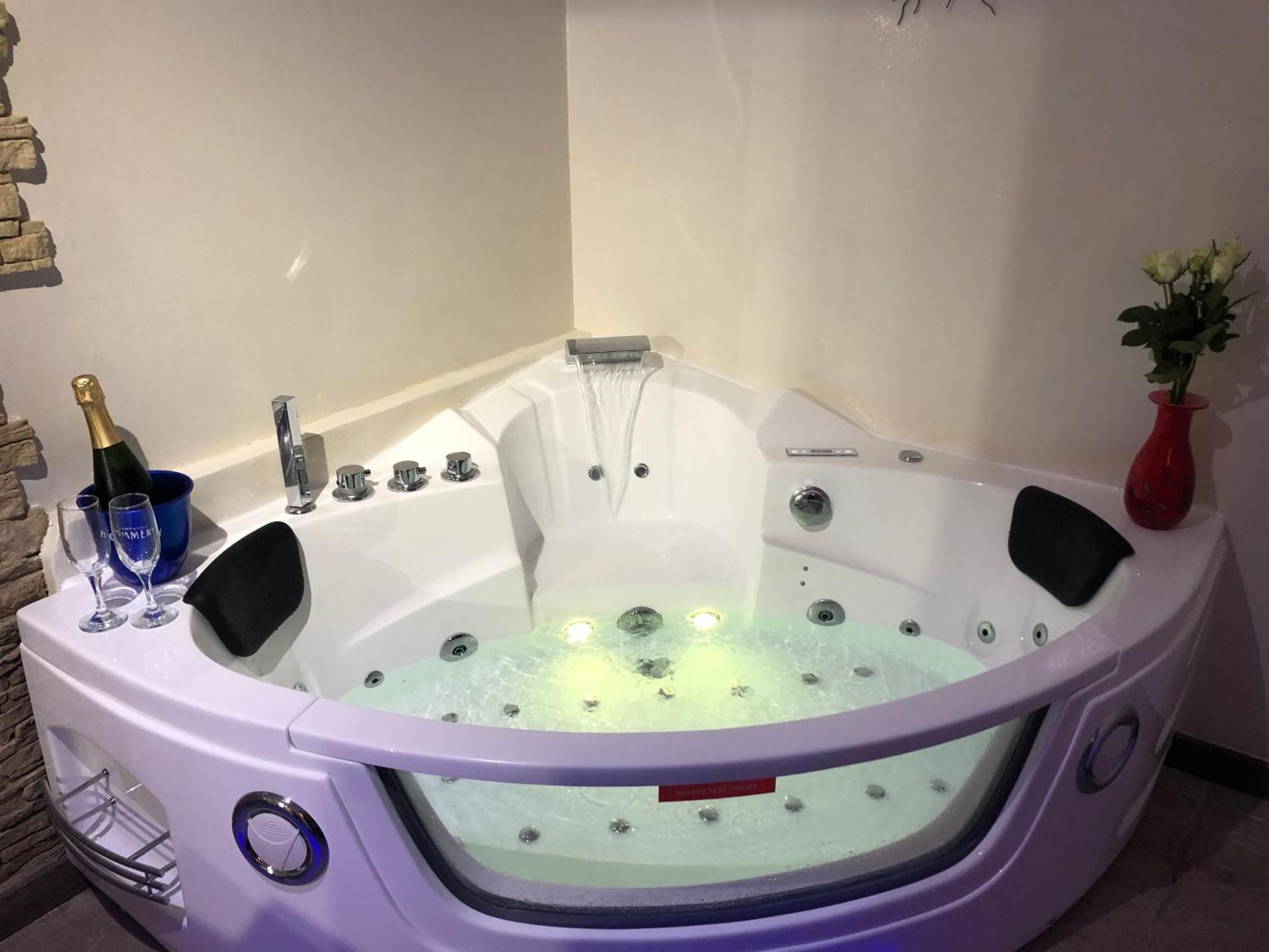 AUX PORTES DE LA CAMARGUE STUDIO BALNEO PISCINE