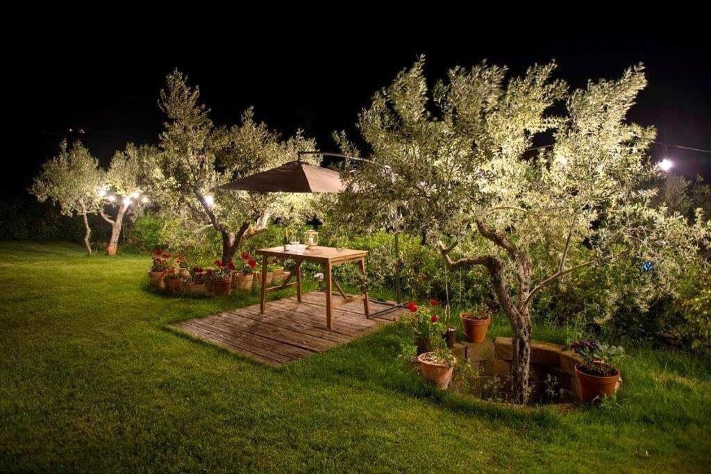 GIULIVETO Bed and Breakfast