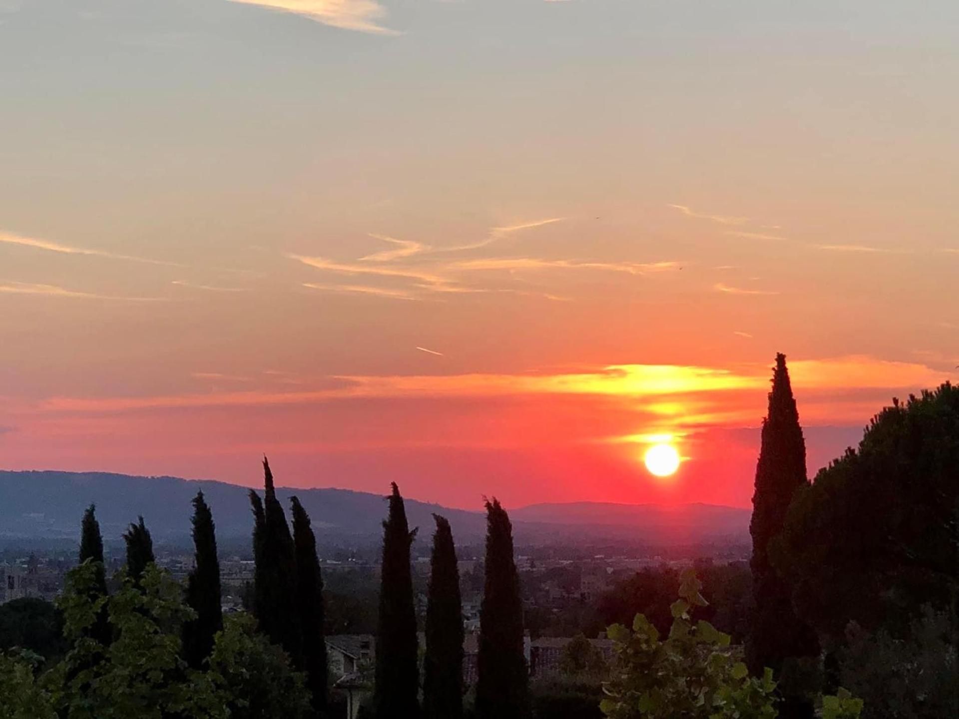 Quadruple Room with Garden View