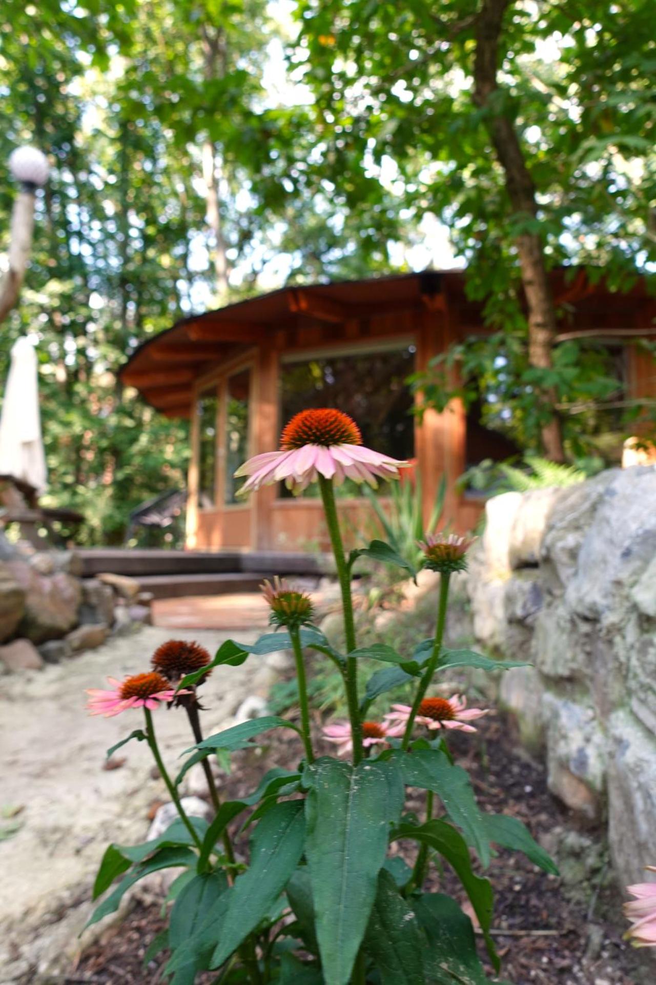 Woeste Hoogte - Groesbeek