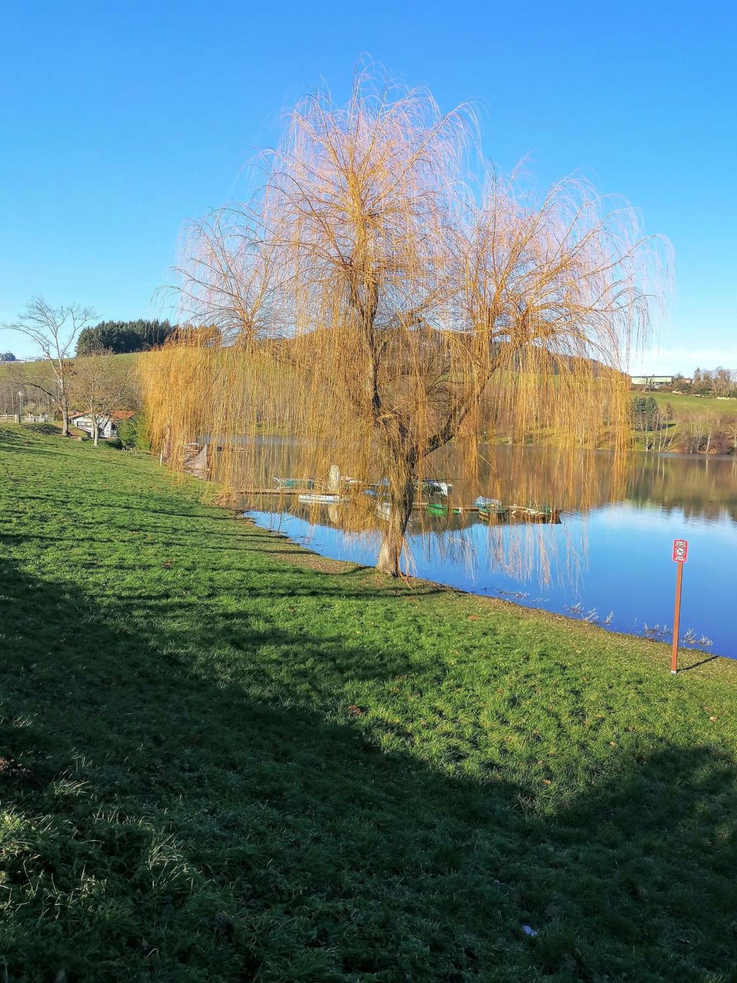 Chambre d'hôtes Les Myriades D'Or