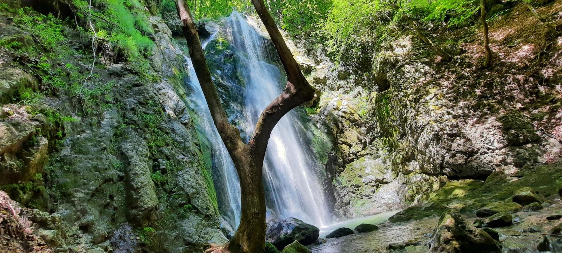Le Valserine - Camping éco responsable
