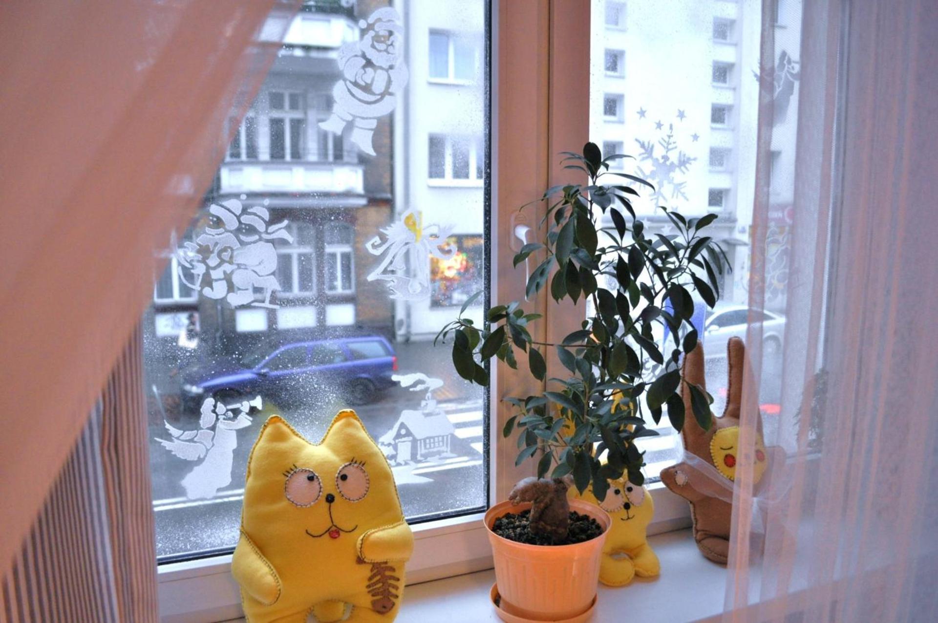 View (from property/room)