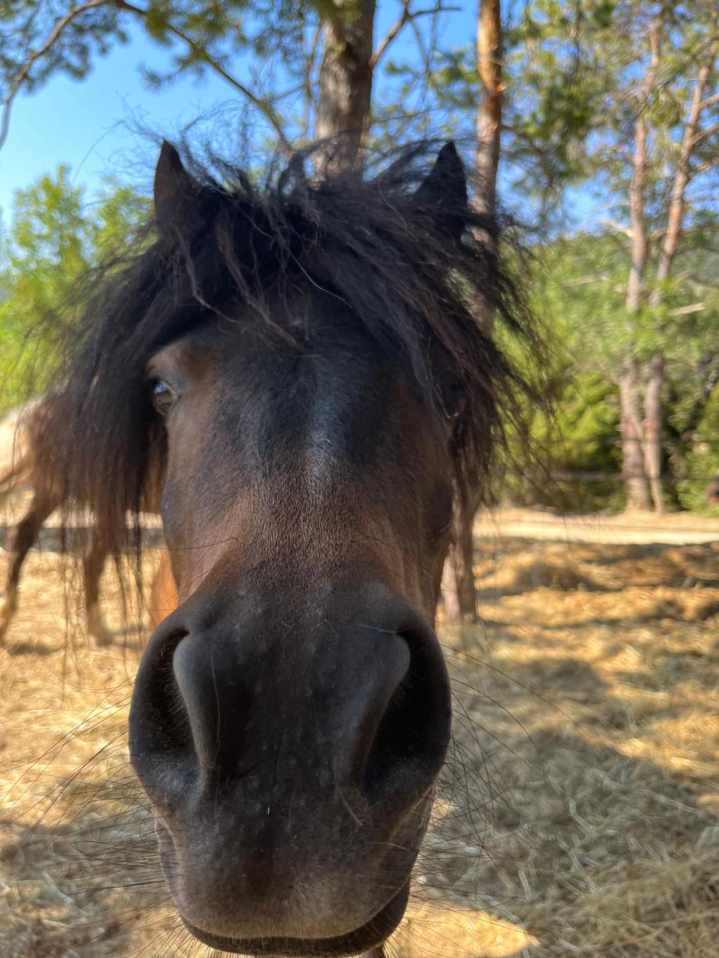Domaine du Cruvelet Grand gite