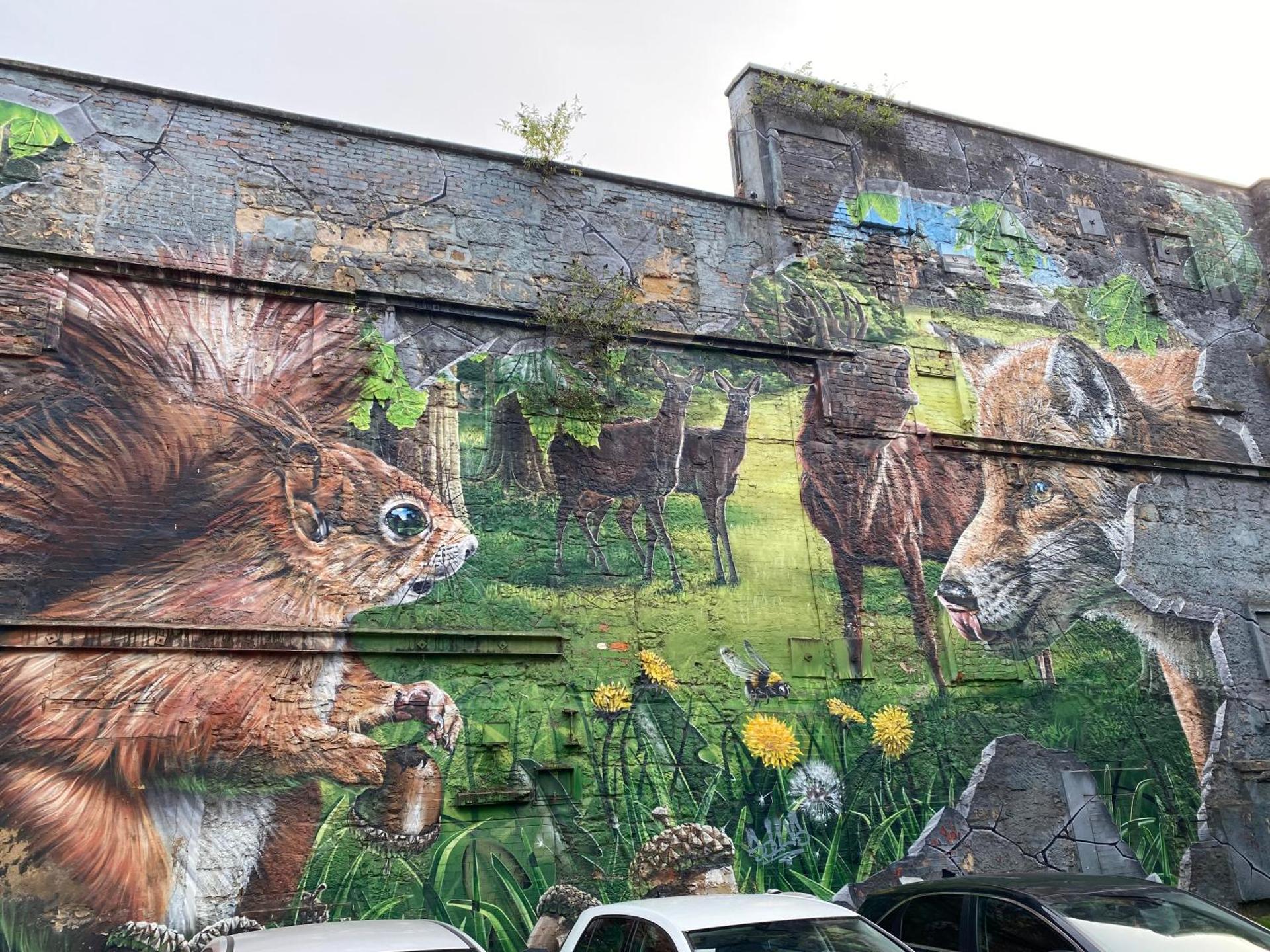 View (from property/room)