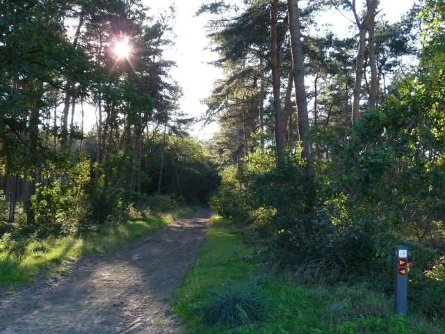 De Steegberg Holiday Home