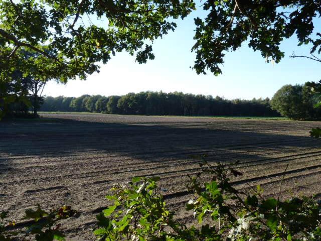 De Steegberg Holiday Home