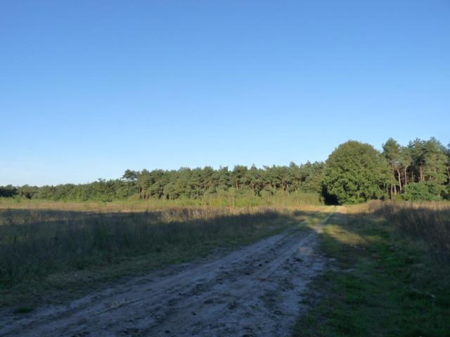 De Steegberg Holiday Home