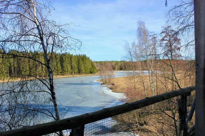Tretopphytter På Grensen - Beverhytta med robåt og gjeddefiske