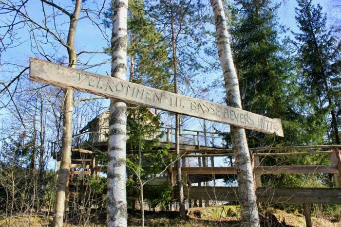 Tretopphytter På Grensen - Beverhytta med robåt og gjeddefiske