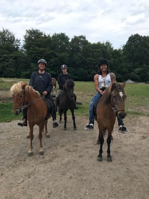 Dyrlundgaard tilbyder charmerende ferielejlighed.