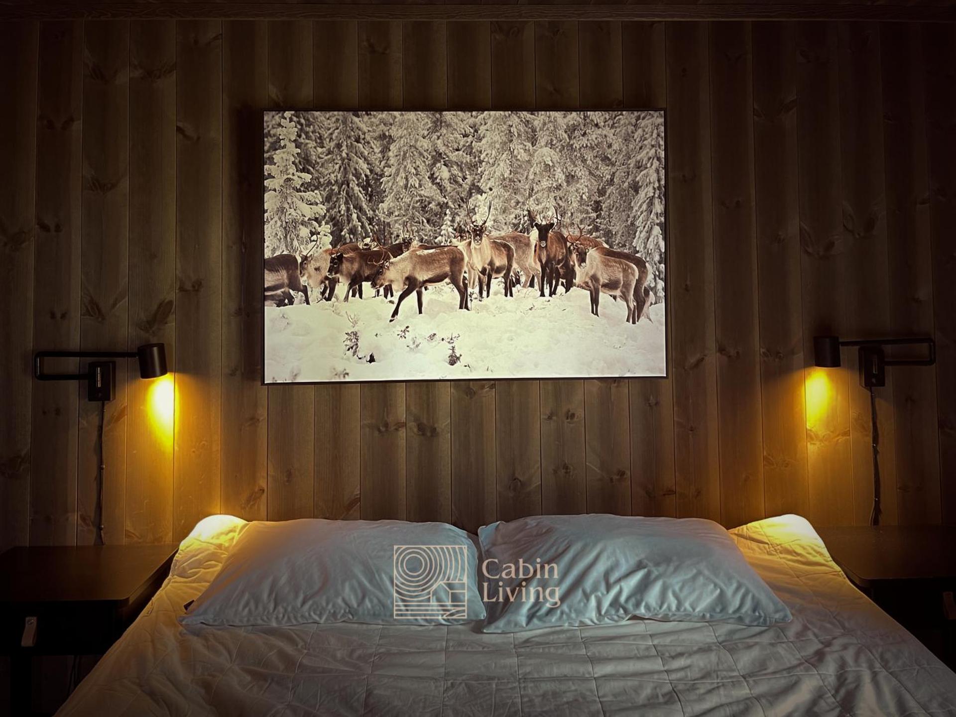 Unique cabin with fantastic lake view, sauna, ski & EV outlet