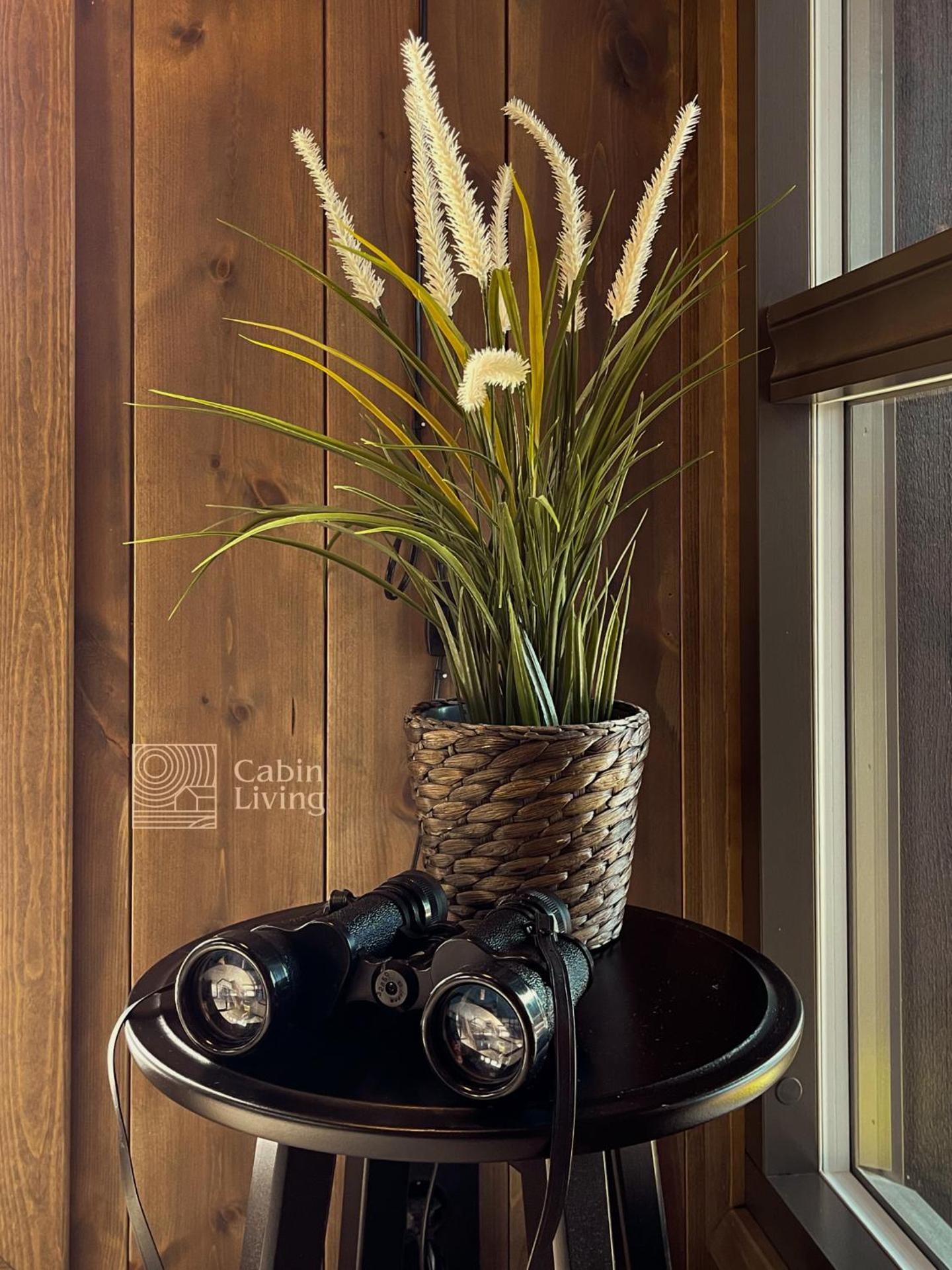 Unique cabin with fantastic lake view, sauna, ski & EV outlet