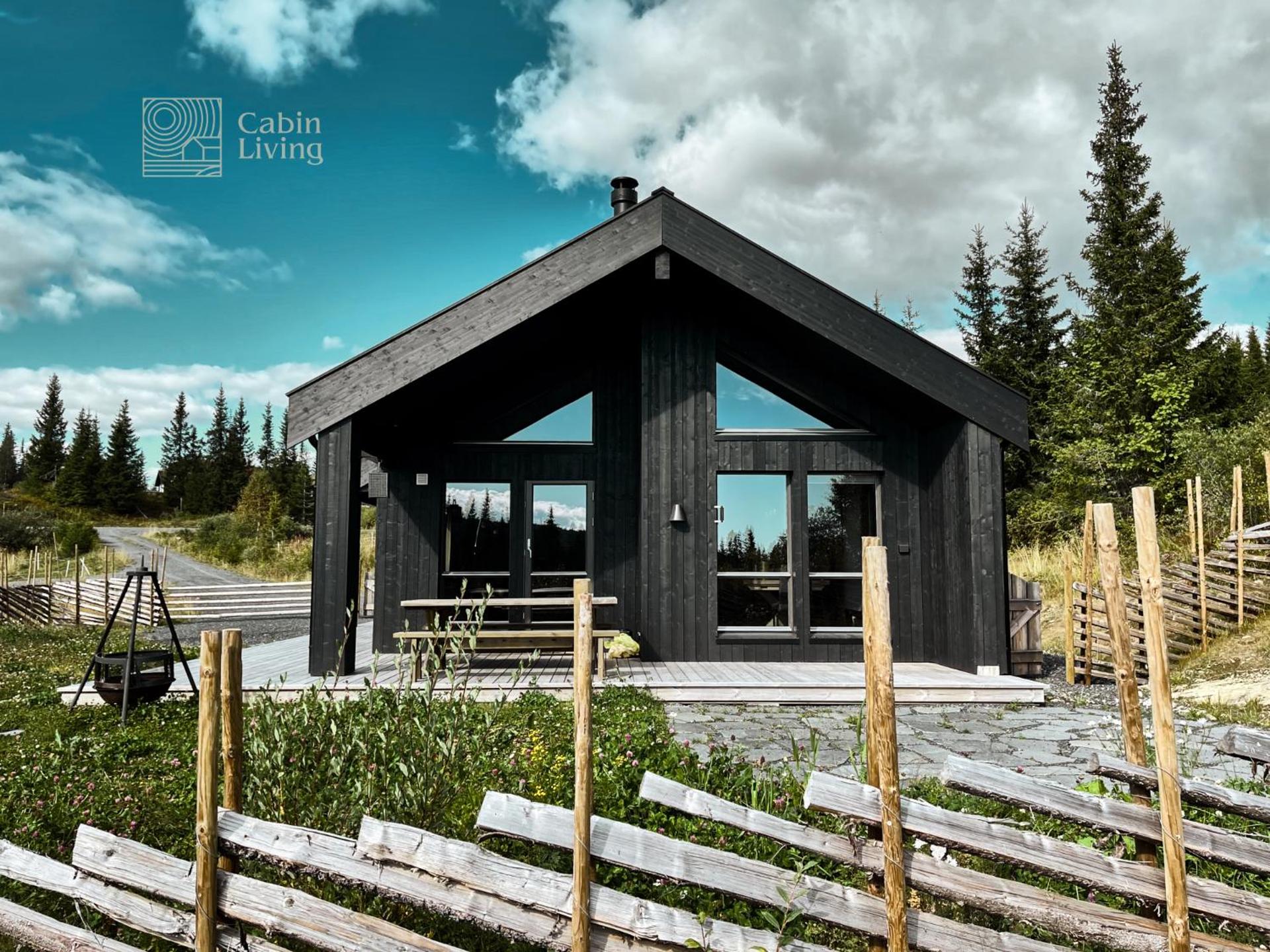 Unique cabin with fantastic lake view, sauna, ski & EV outlet