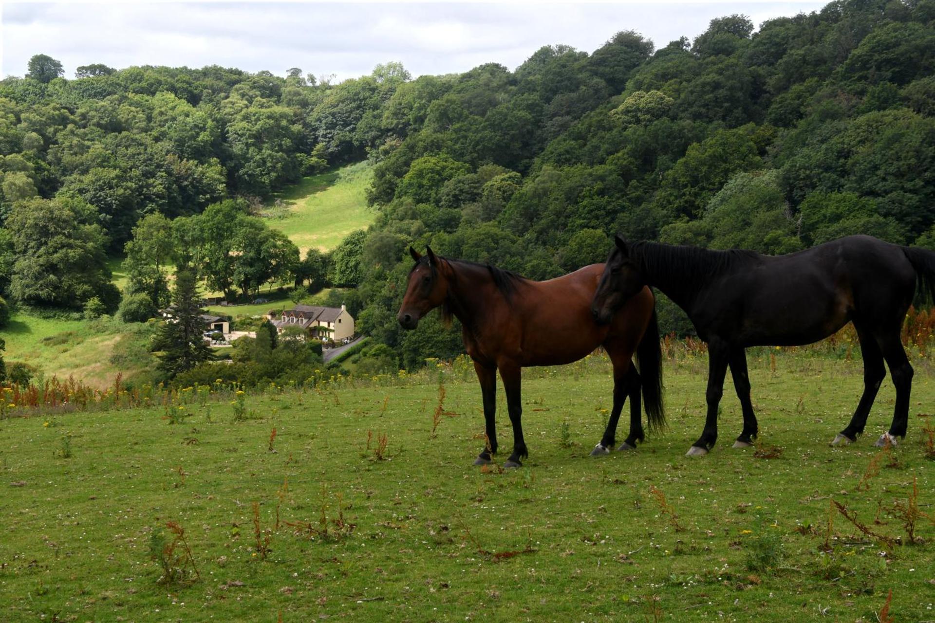 Ty Twt - complete holiday home