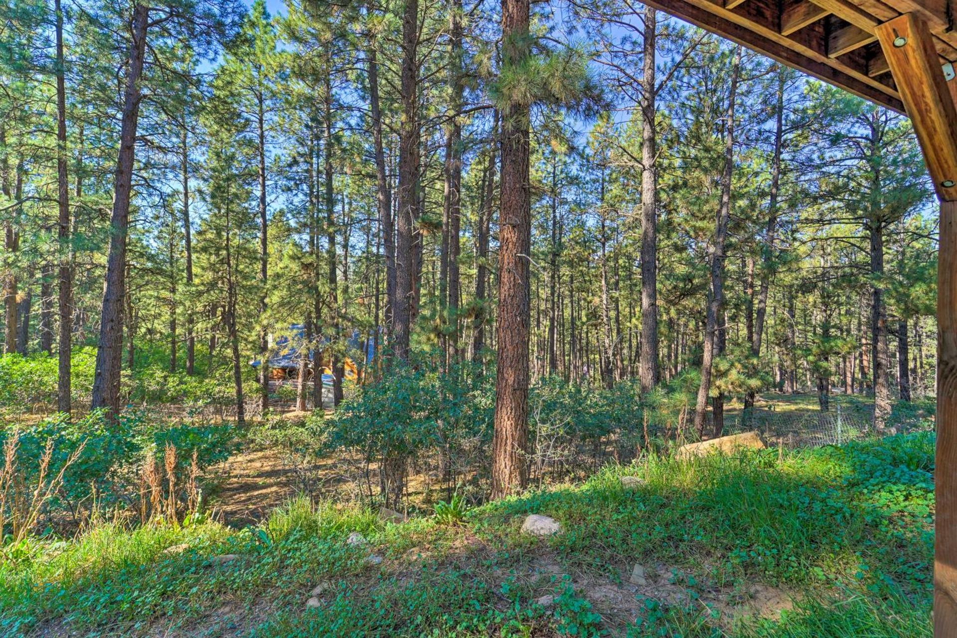 Lazy Bear Den about 9 Mi to Vallecito Reservoir