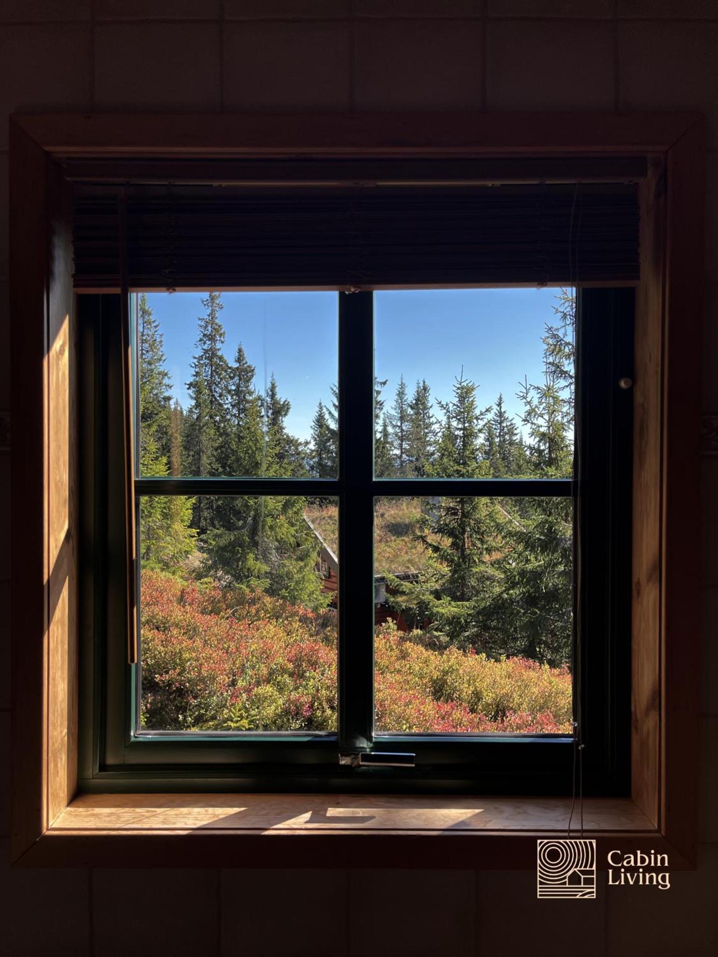 Large cabin at Sjusjøen with sauna, fireplace, view and cross-country skiing