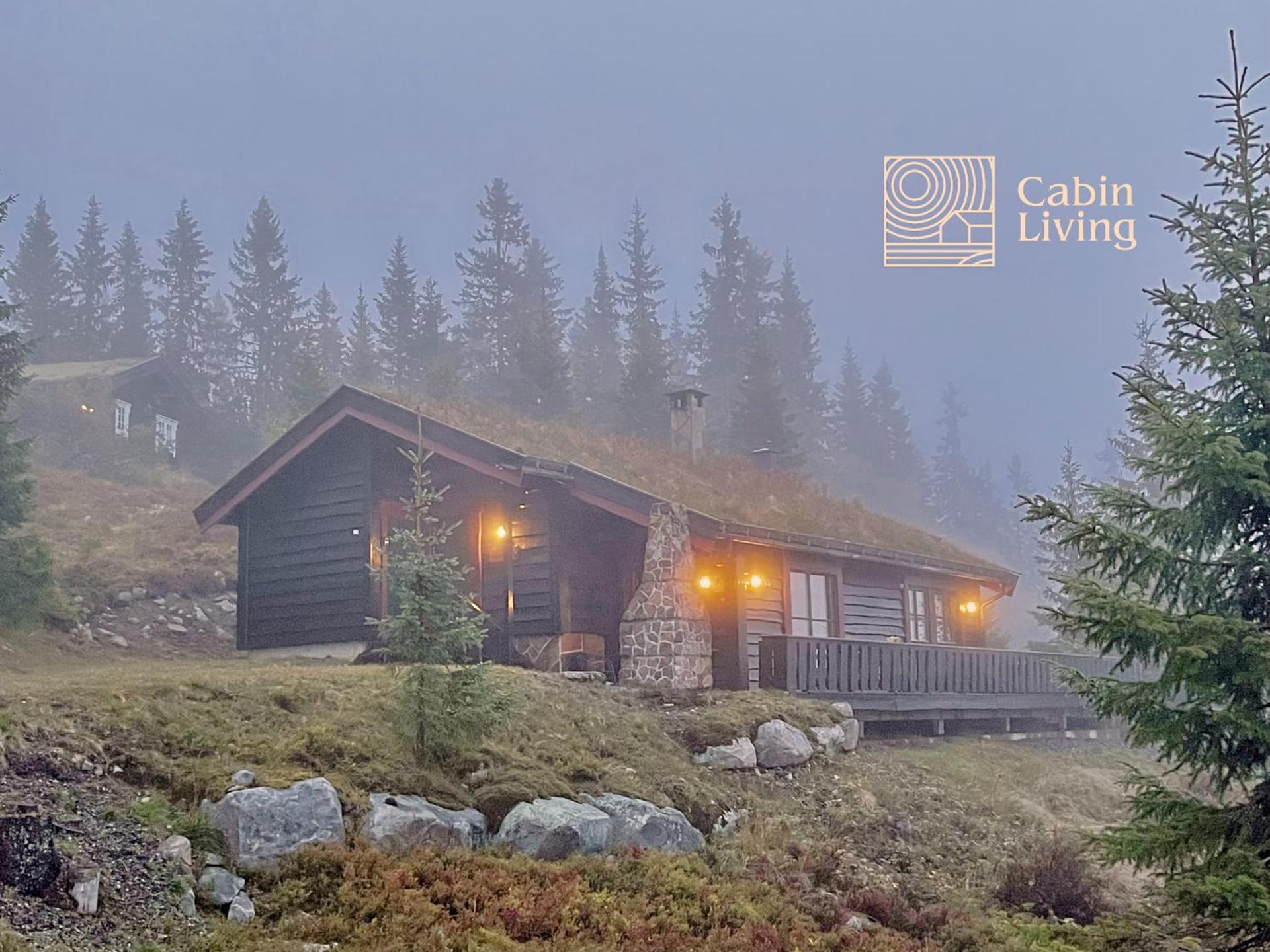Large cabin at Sjusjøen with sauna, fireplace, view and cross-country skiing