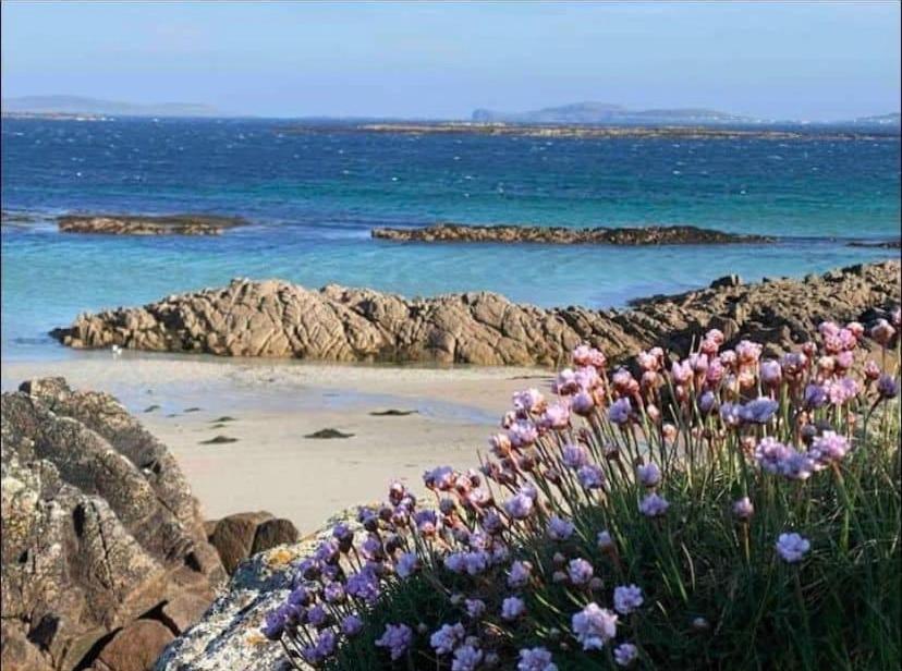 Drop Anchor House, Spacious 3 bedroom apartment, fabulous sea views