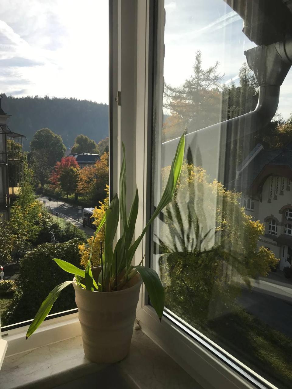 Ferienwohnung in Villa