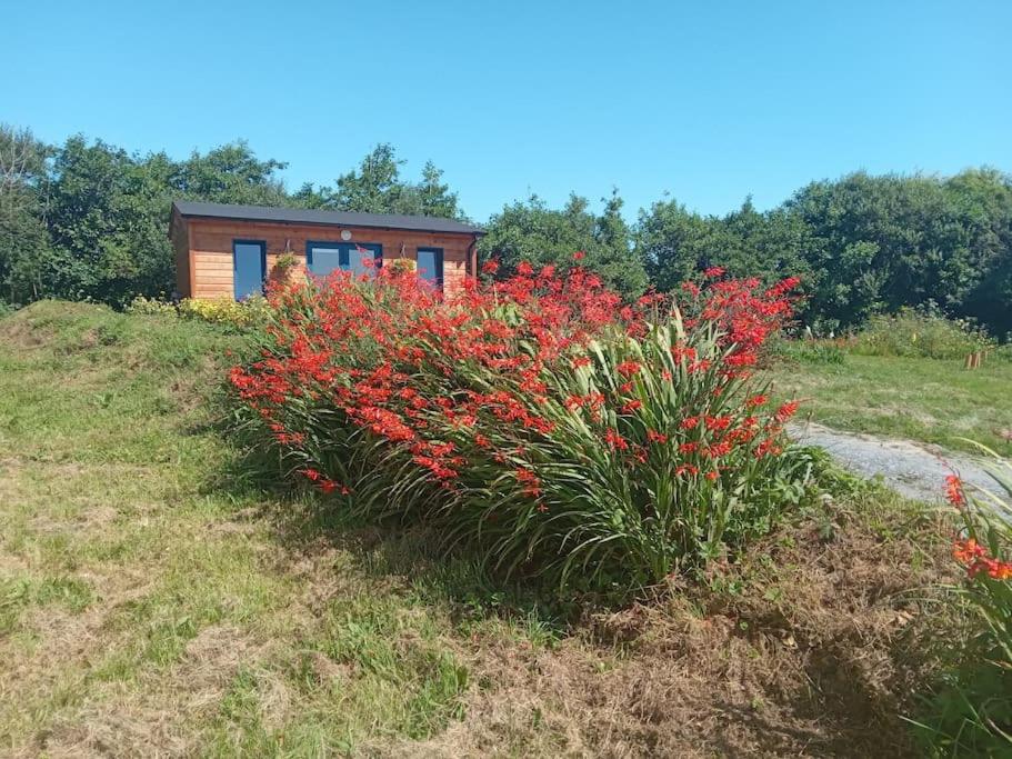 Ceaser's cabin is a cosy 1 bedroom cabin
