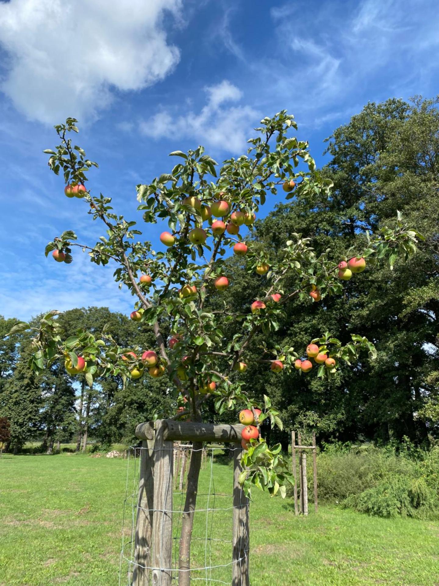 Ferienapartments Spreewaldwiesen