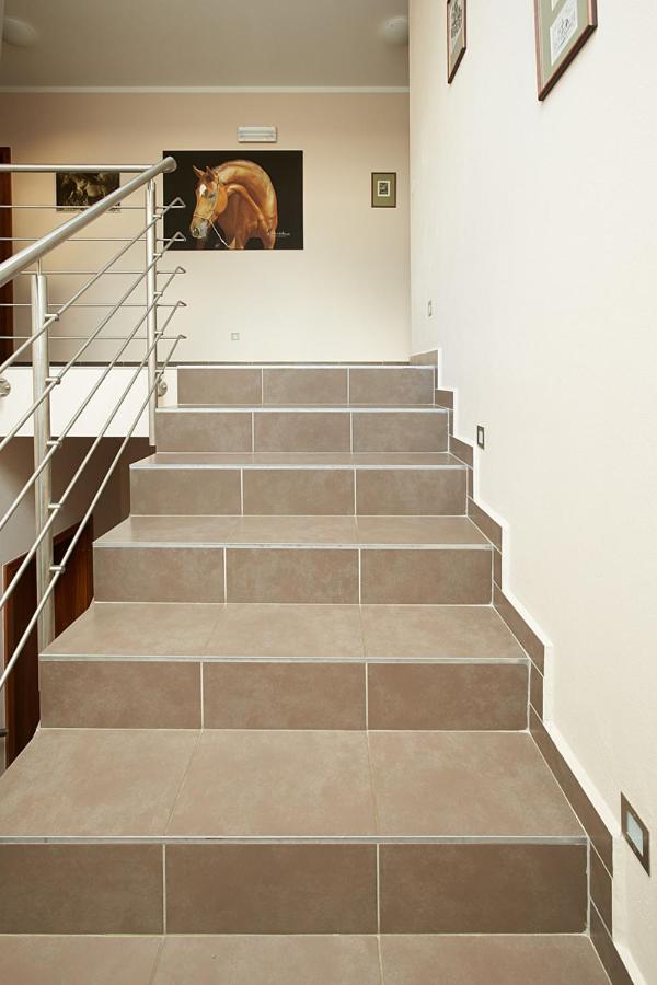 Hotel Horse Riding - Jezdecký Areál Tršice