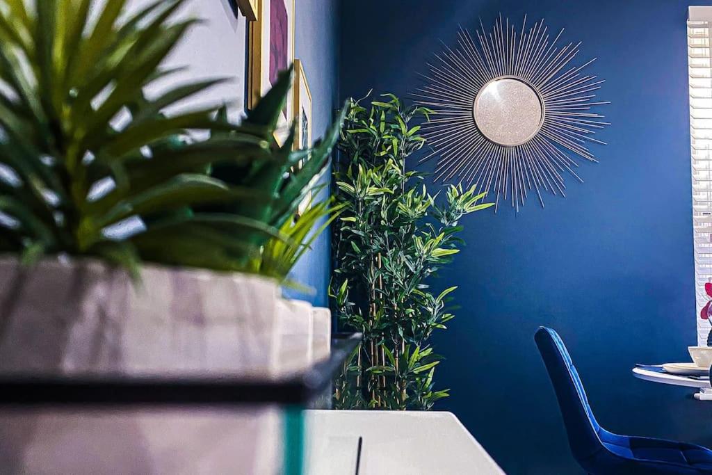 Velveteen by The V Group