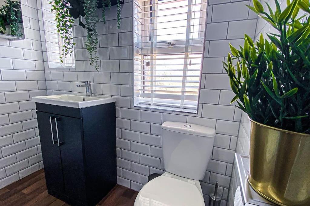 Velveteen by The V Group