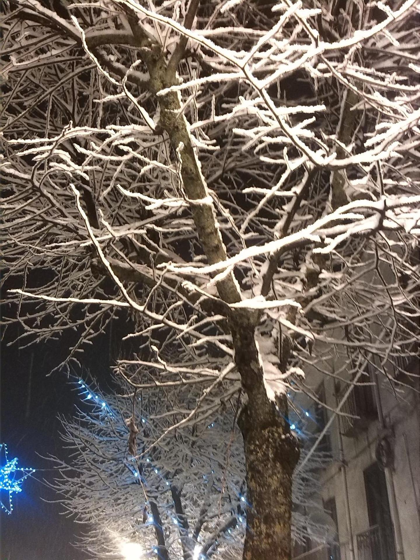 Bed & Breakfast La dodicesima Notte