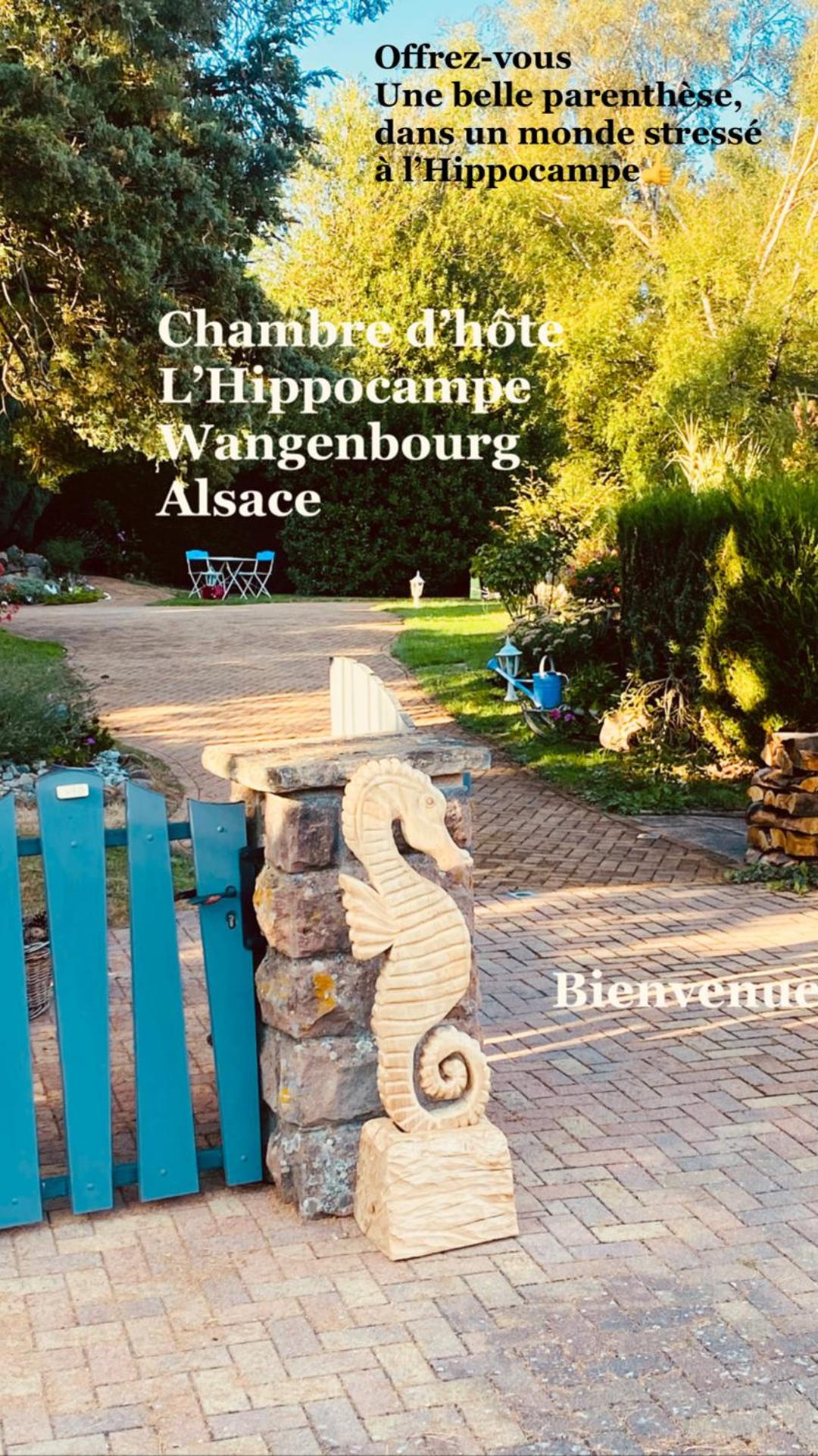 L’hippocampe
