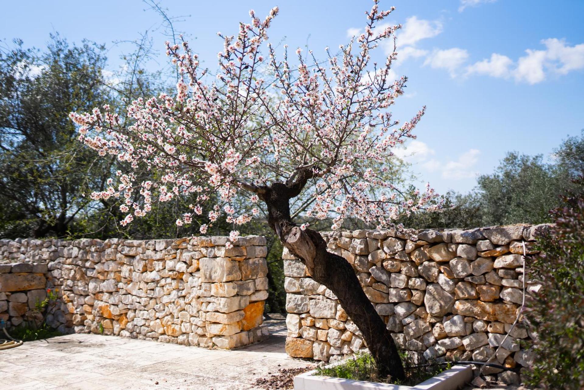 Masseria Montepaolo Dimora di Charme
