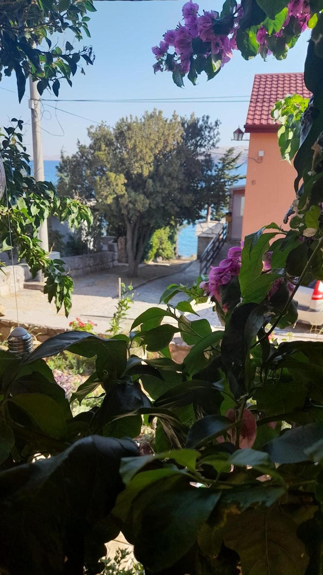 Apartmani Ivanković