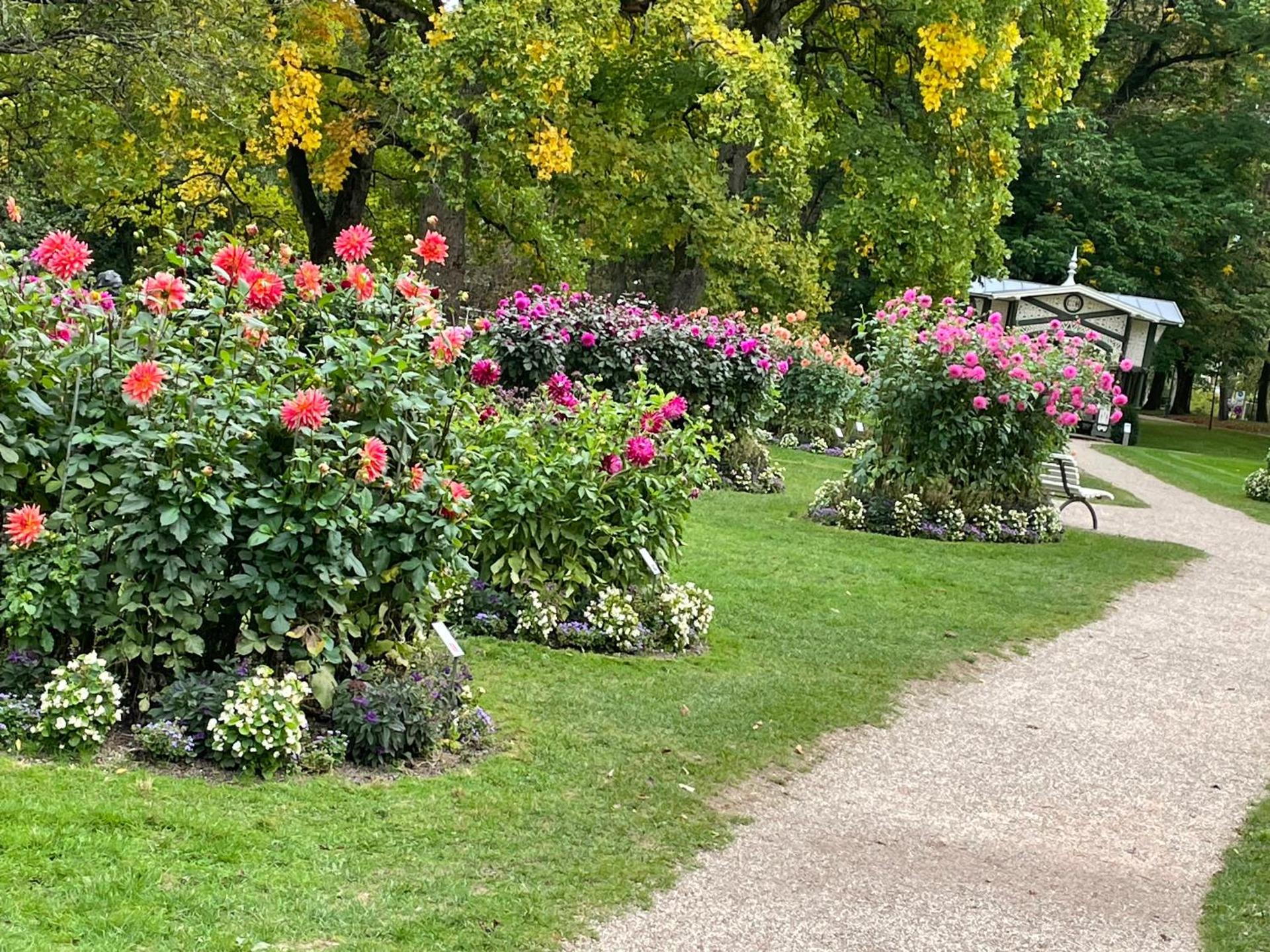 Black Forest Apartment